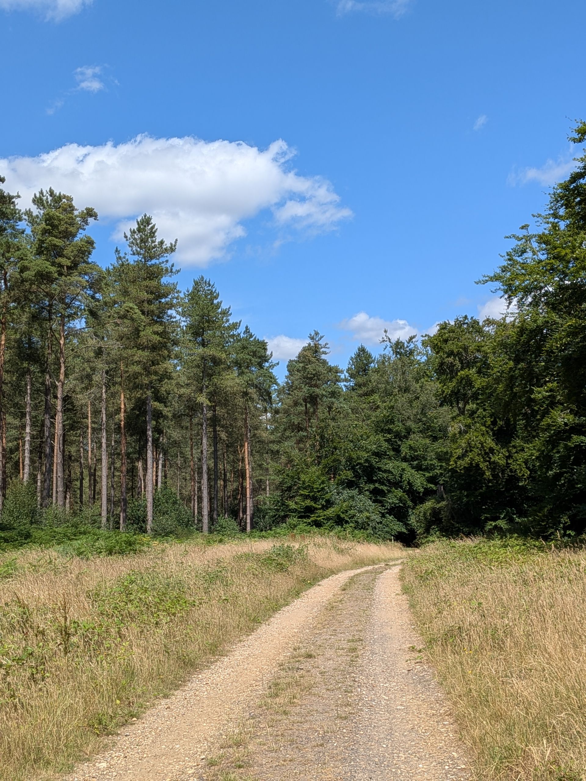 View of path